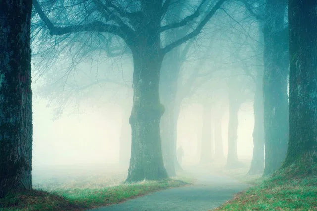 Mysterious Niche Perfumes: The Essence of Unfathomable Allure
