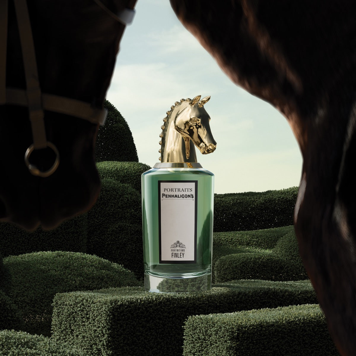 FORTUITOUS FINLEY Eau de Parfum image2