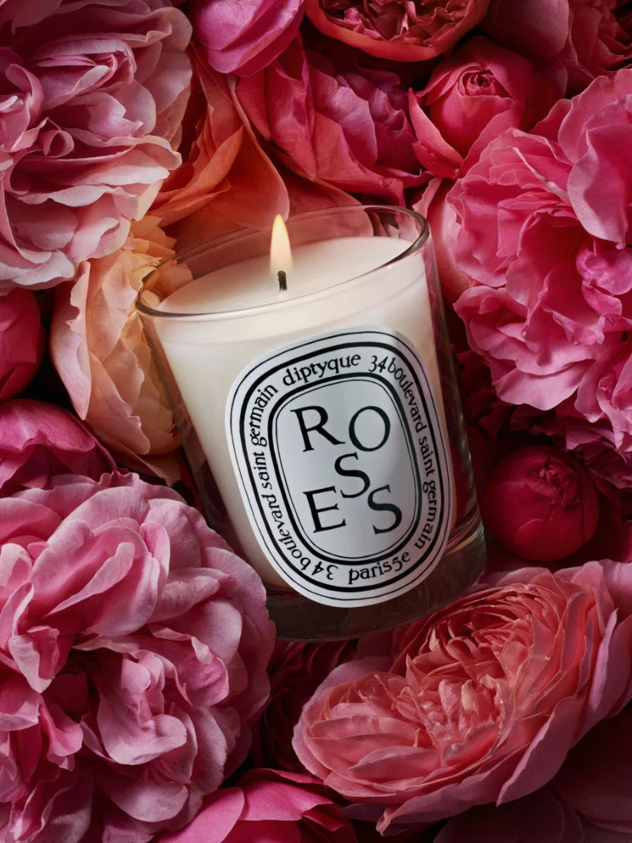 ROSES Candela Profumata New