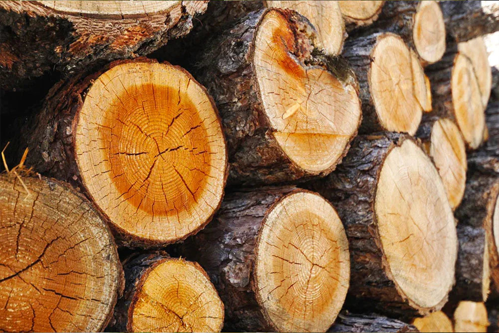 Guida ai Profumi Legnosi: Scegli il Tuo Aroma Ideale