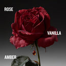 THE COVETED DUCHESS ROSE Intense