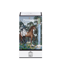 FORTUITOUS FINLEY Eau de Parfum image4