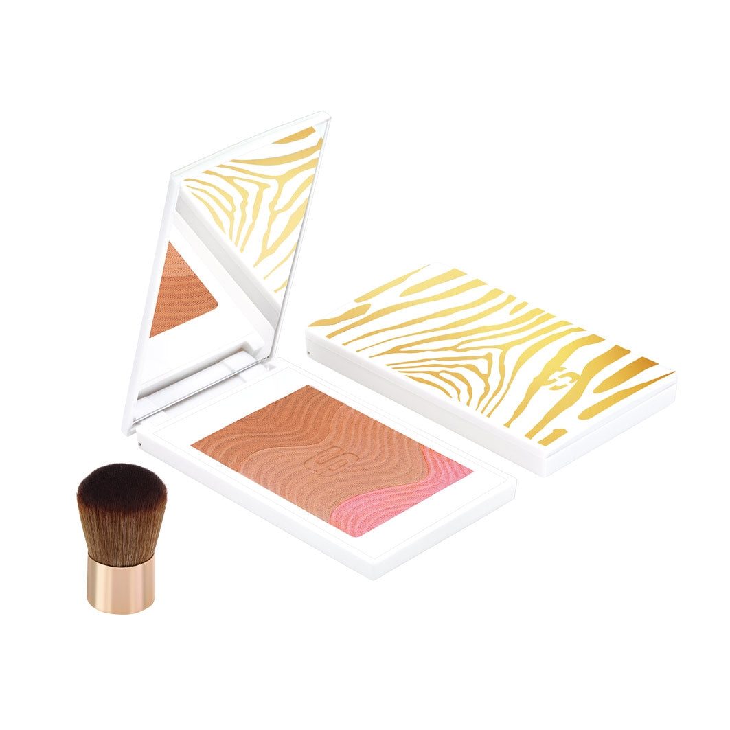PHYTO-TOUCHE POUDRE ECLAT SOLEIL-1 Trio Miel Cannelle