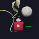 LOVE HIBISCUS Eau de Parfum