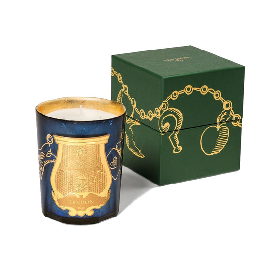 FIR LIMITED EDITION Candela