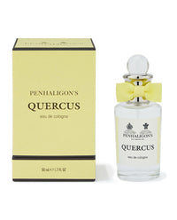 QUERCUS Cologne image2