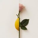 ROSA LIMONE Extrait de Parfum 50ml image3