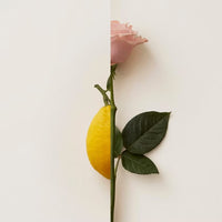 ROSA LIMONE Extrait de Parfum 50ml image3