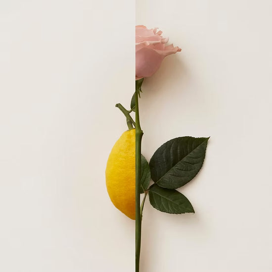 ROSA LIMONE Extrait de Parfum