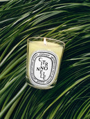 CITRONELLE Scented Candle 190g - Limited Edition