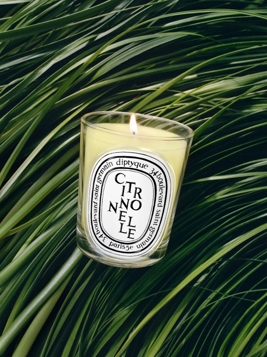 CITRONELLE Scented Candle 190g - Limited Edition