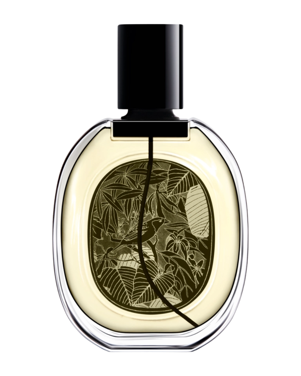 VETYVERIO Eau de Parfum