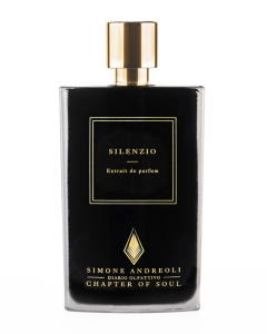 Silenzio - Simone Andreoli